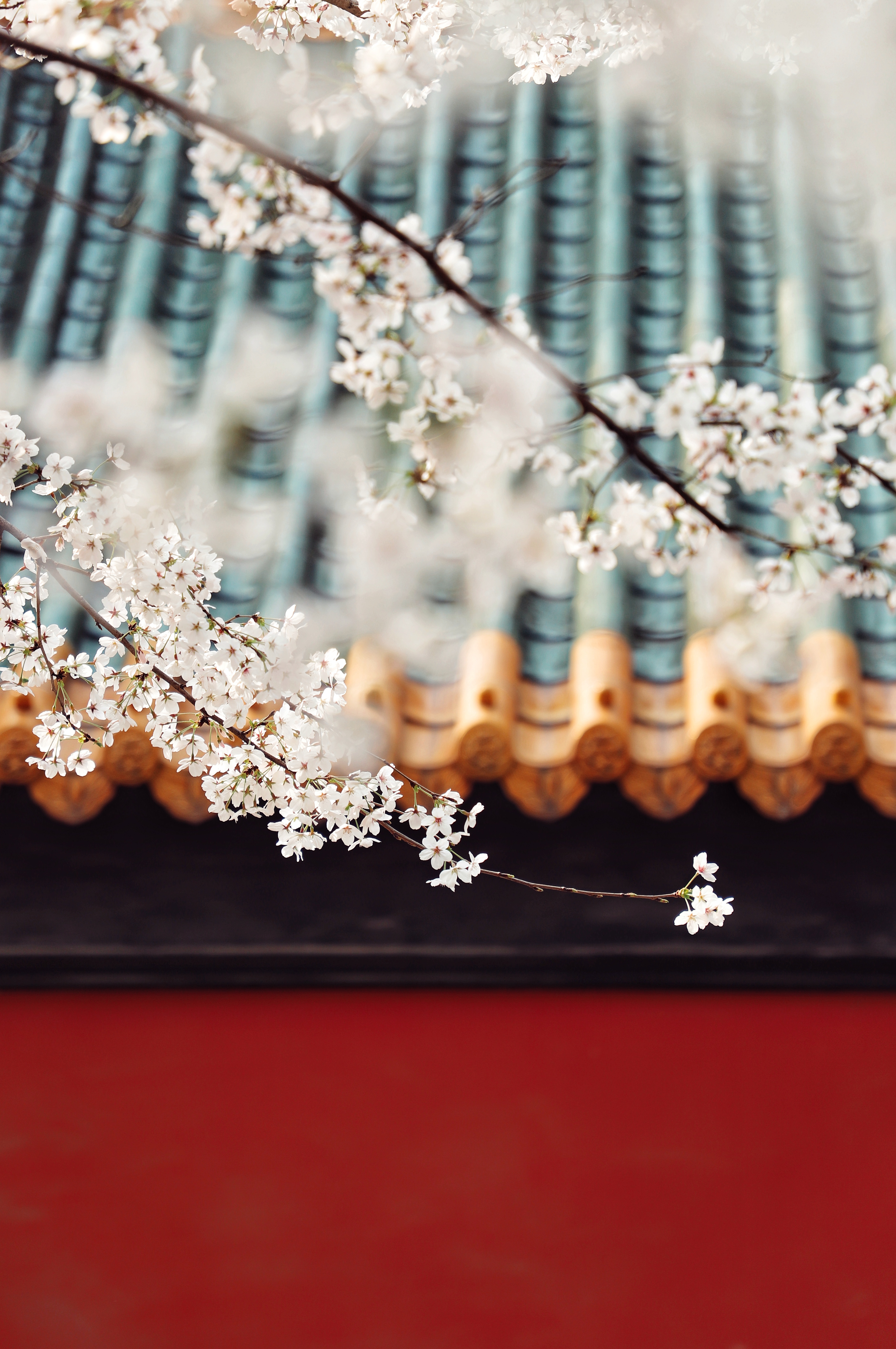 17网媒2班黎雅琪个人作品